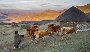 Village Savanna Tours Village Savanna Tours